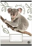 OPTISCHOOL Füzet, tűzött, A5, vonalas, 32 lap, 1. osztály, OPTISCHOOL, "14-32", "Koala (NKOP1432KO) - webpapir