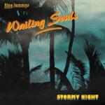 Wailing Souls - Stormy Night (Reissue) (LP) (0054645710114)