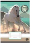 OPTISCHOOL Füzet, tűzött, A5, vonalas, 32 lap, 4-8. osztály, OPTISCHOOL, 21-32 , Horse (27I2132-011) - kellekanyagonline