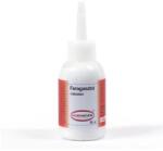 Hobby Művész Ragasztó fa ragasztáshoz, vízbázisú 60ml Hobbyművész