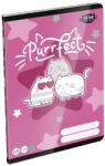 LIZZY Füzet vonalas LIZZYSULI A/5 32 lapos 21-32 4-8. osztályos Kittok Stars Purrfect (7500170002) - fotoland