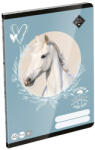 LIZZY Füzet sima LIZZYSULI A/5 32 lapos 20-32 Wild Beauty Sport Club (7500172004) - fotoland