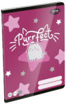 LIZZY Füzet kockás LIZZYSULI A/5 32 lapos 27-32 Kittok Stars Purrfect (7500171002) - fotoland