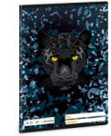 Ars Una 2. osztályos vonalas füzet A5 - Black Panther Dark