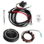 Yamaha Töltőkészlet YAMAHA F4-F6 külmotorhoz (Lighting Coil Kit for F4B/F5A/F6C) (6EE762A00000 (6BX-W8130-A0-00))
