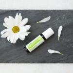 dōTERRA Steady - Kiegyensúlyozó keverék (20 ml)