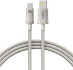 Baseus Cablu incarcare rapida 100W Baseus Titanium, 2m, argintiu, P10378102G21-02