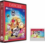Evercade Mega Cat Studios Collection 3