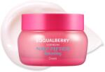 EQQUALBERRY NAD+ Peptide Boosting Cream, Crema de fata anti-aging si antirid cu Peptide, Coenzima NAD+, Ceramide NP si Niacinamida pentru fermitate, 50 ml (sid970)