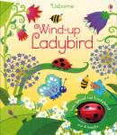 Usborne Wind-up Ladybird - Carte cu jucărie pentru copii 3+ ani, Usborne (9781409583882)