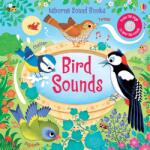 Usborne Bird Sounds - Carte pentru copii 3+ ani, Usborne (9781474976749)