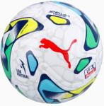 PUMA Minge Puma Stellar Nitro Ultimate Liga Portugal dimensiunea 5 - Alb - alb, 5 - masculin (085073 01 #5) (085073 01 #5)