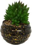  Vas Rotund Cu Planta Suculenta, Verde, Plastic, 9Cm - Verde, Plastic, 9cm (2103)