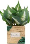  Ghiveci Lemn Cu Flori, Green, Plastic, 22Cm - Verde, Plastic, 22cm (2085)