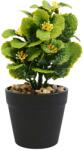  Aranjament Floral, Verde, Plastic, 18Cm - Verde, Plastic, 18cm (2063)
