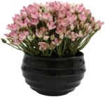  Ghiveci Cu Flori, Roz, Plastic, 16Cm - Roz, Plastic, 16cm (2087)