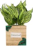  Ghiveci Lemn Cu Flori, Verde, Plastic, 21Cm - Verde, Plastic, 21cm (2086)
