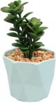  Planta Suculenta In Ghiveci, Blue, Plastic, 16Cm - Verde, Plastic, 16cm (2108)
