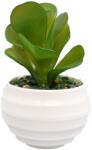  Planta Suculenta Artificiala, Verde, Plastic, 10Cm - Verde, Plastic, 10cm (2096)
