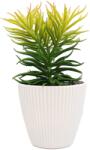  Planta Suculenta In Ghiveci, Alb, Plastic, 19Cm - Alb, Plastic, 19cm (2105)