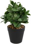  Aranjament In Ghiveci, Verde, Plastic, 20Cm - Verde, Plastic, 20cm (2069)