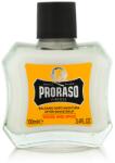 Proraso Wood and Spice After Shave Balm 100 ml