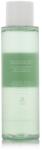 Beauty of Joseon Green Plum Refreshing Toner AHA + BHA 150 ml - parfimo