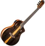 Ortega Guitars RTP-LTD 4/4 nylonhúros gitár