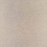PAMESA CERAMICA 60x60(t)c Core Taupe (0960170037260)
