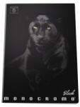 Pigna moncromo black panther a5 ponthálós notesz