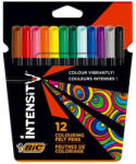BIC Carioca 12 culori 2mm intensity Bic (BC978004)