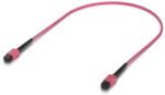 Ubiquiti Patch Cord Fibra Optica Ubiquiti UACC-OFC-MA-MPMP-0.5M-10, Multi-Mode, OM4, MPO/UPC - MPO/UPC, 0.5 m, 10 bucati (UACC-OFC-MA-MPMP-0.5M-10)