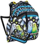 Bagmaster Set micBETA 25 A (BG7326)