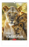 TopTimer Naptár, fali, TOPTIMER "Vadállatok" 1 db (NKT09408U)