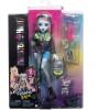 Mattel Monster High Core Doll With Pet Frankie (hxh73)