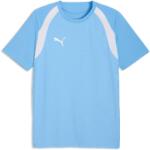 PUMA Teamfinal 26 Training Jersey (65967518)