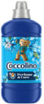 Coccolino öblítő 1275ml - Golgota virág és bergamott