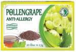 Dr. Chen Patika Herbatea DR CHEN Pollengrape 20 filter/doboz - eztkapdki