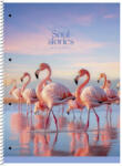 Shkolyaryk Publishing House Spirálfüzet A/4+ 80 Lapos Vonalas Soul Stories Vegyes Mintákban (SB806711L)