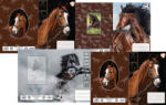 T-Creativ Füzetborító Betétes A/5 Horses (N12069THO)