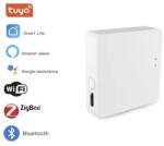 BAREX ZigBee vezérlőpanel hálózati tápellátás wifi kapcsolat (nie występuje)