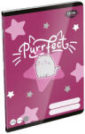 LIZZY Füzet kockás LIZZYSULI A/5 32 lapos 27-32 Kittok Stars Purrfect (7500171002) - papir-bolt