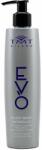 TMT Evo Silver Mask 300 ml