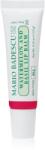 Mario Badescu Watermelon and Basil Lip Balm Balsam de buze hidratant 10 g