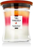 WoodWick Trilogy Warm Woods Lumânări parfumate 275 g typ Blooming Orchid