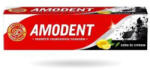 Amodent fogkrém 100 ml Aktív szén (8934839135072)