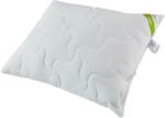 Inter-widex Párna 70x70cm BAMBOO ECO, antiallergén, fehér, 1000g (SHBAMPECO70x70B1000g)