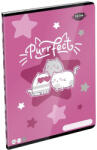 LIZZY Füzet vonalas LIZZYSULI A/4 32 lapos 81-32 Kittok Stars Purrfect (7500164001) - tonerpiac