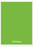 Fortuna Füzet vonalas FORTUNA Monocolor A/5 32 lapos 21-32 4-8. osztályos zöld (01.02077) - tonerpiac