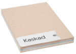 KASKAD Dekorációs karton KASKAD A/4 2 oldalas 160 g pasztell vegyes színek 5x25 lapos (621100 (K16)) - tonerpiac